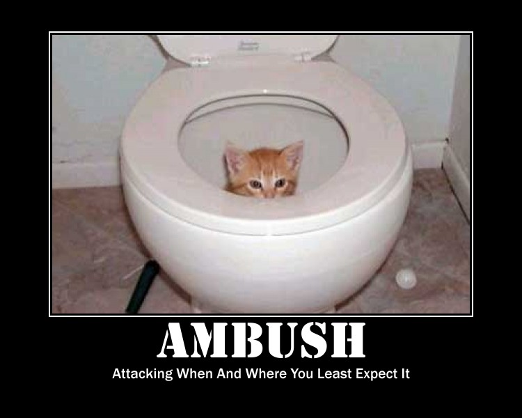 Cat_Ambush.jpg